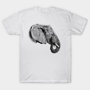 Elephant T-Shirt